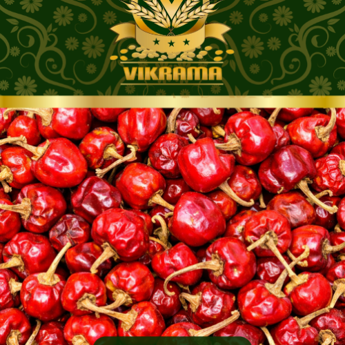 Gundu Red Chilli